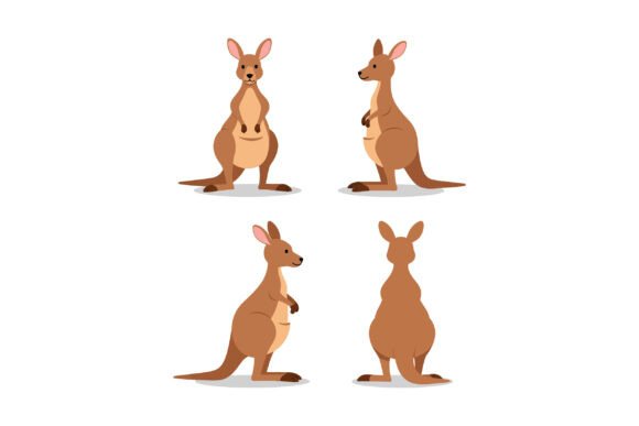 Download Kangaroo Vector Illustration in Four Dif - Premium Bundle